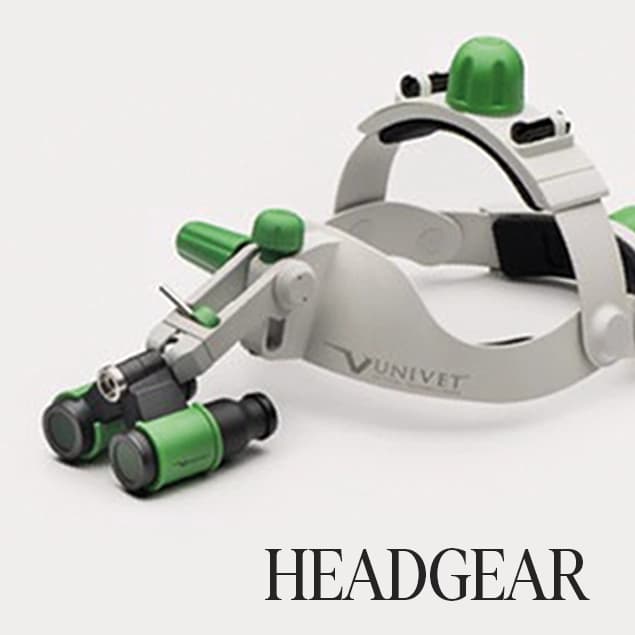 HEADGEAR
